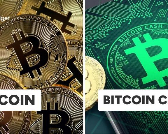 Пользователи криптоматов отдают предпочтение Bitcoin и Bitcoin Cash