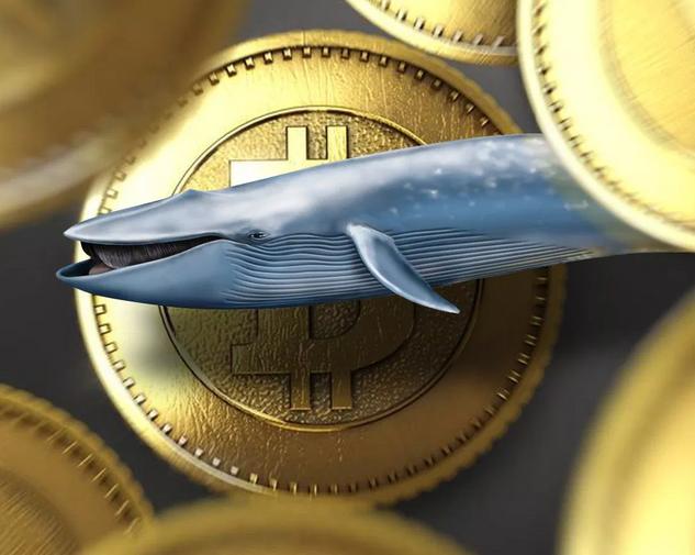 Активность китов определяет движение биткоина