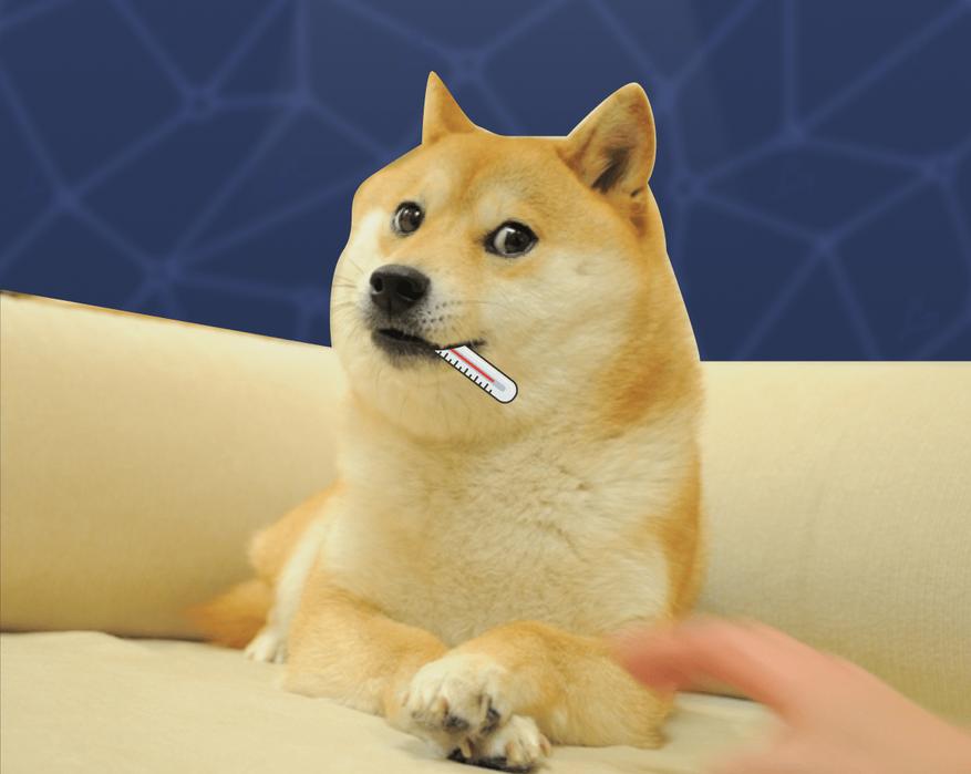 Более половины владельцев Dogecoin остаются «в плюсе»